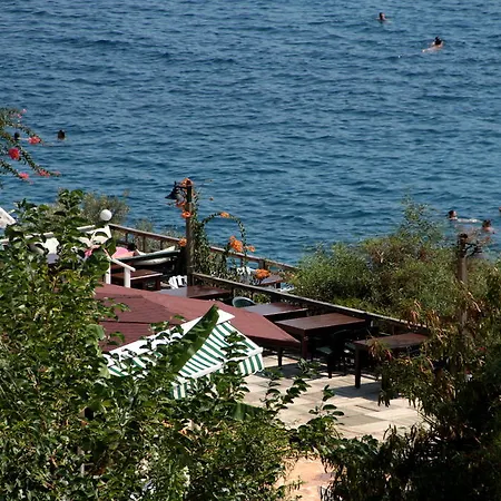 Готель Koza 2*