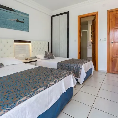 Ξενοδοχείο Koza 2*