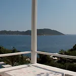 Koza